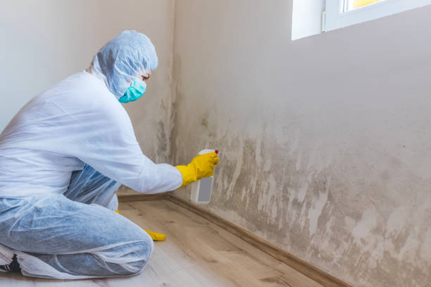 Hvac And Air Duct Mold Remediation inspection of HVAC system in Timnath